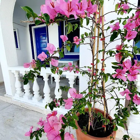 Dreams Butik Frühstückspension Bodrum