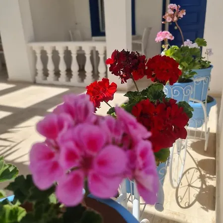 ベッド・アンド・ブレックファスト Dreams Bodrum Hotel 3*