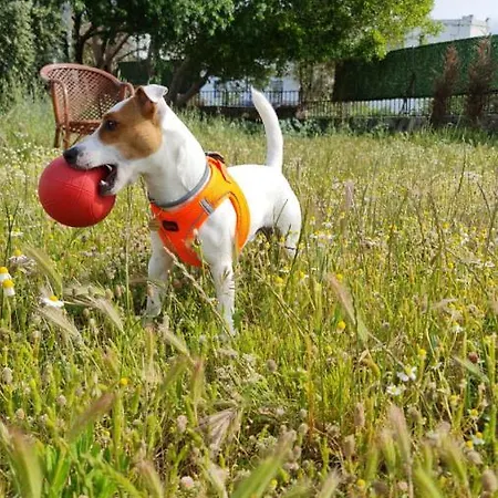 Dreams Bodrum Hotel Bodrum