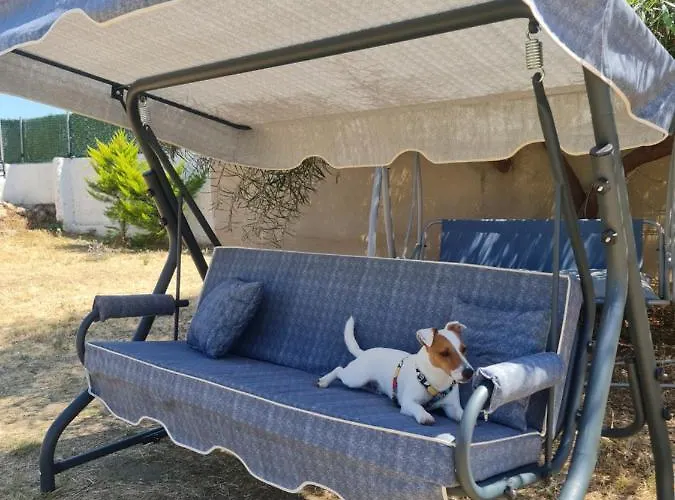 Dreams Bodrum Hotel بودروم